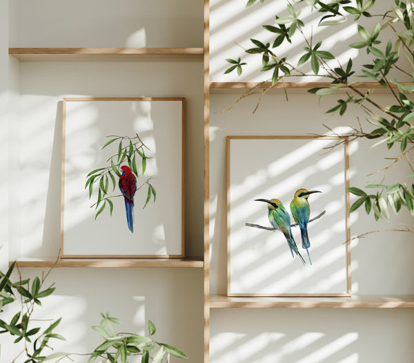 Rainbow Bee Eater Birds Fine Art Print