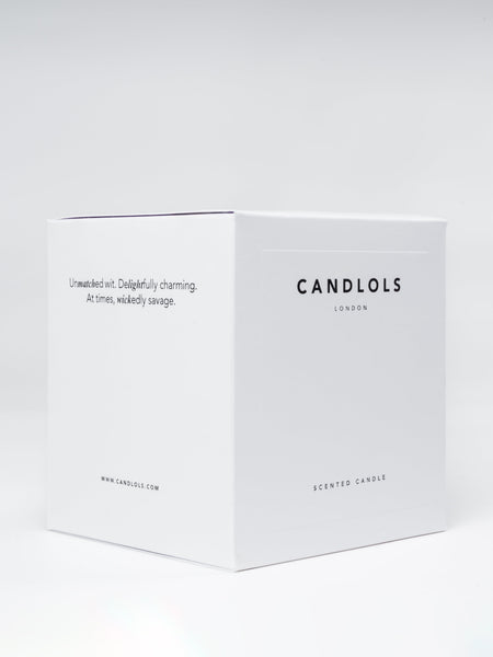 A Tribute To The Money I Burned on Bitcoin, Luxury Scented Candle