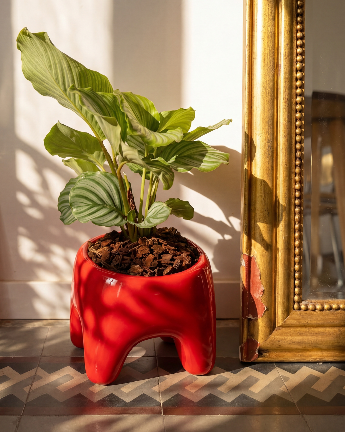BUDDY Planter in Poppy Red