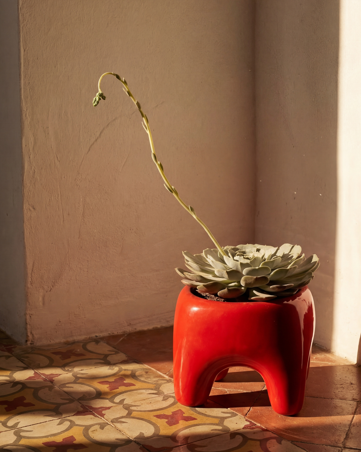 BUDDY Planter in Poppy Red