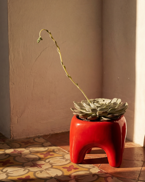 BUDDY Planter in Poppy Red