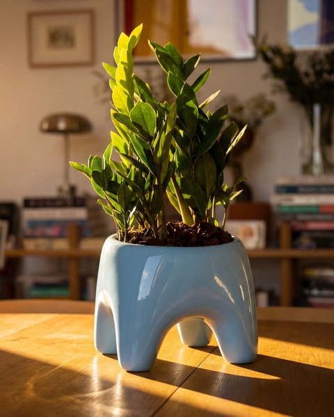 BUDDY Planter in Sky Blue