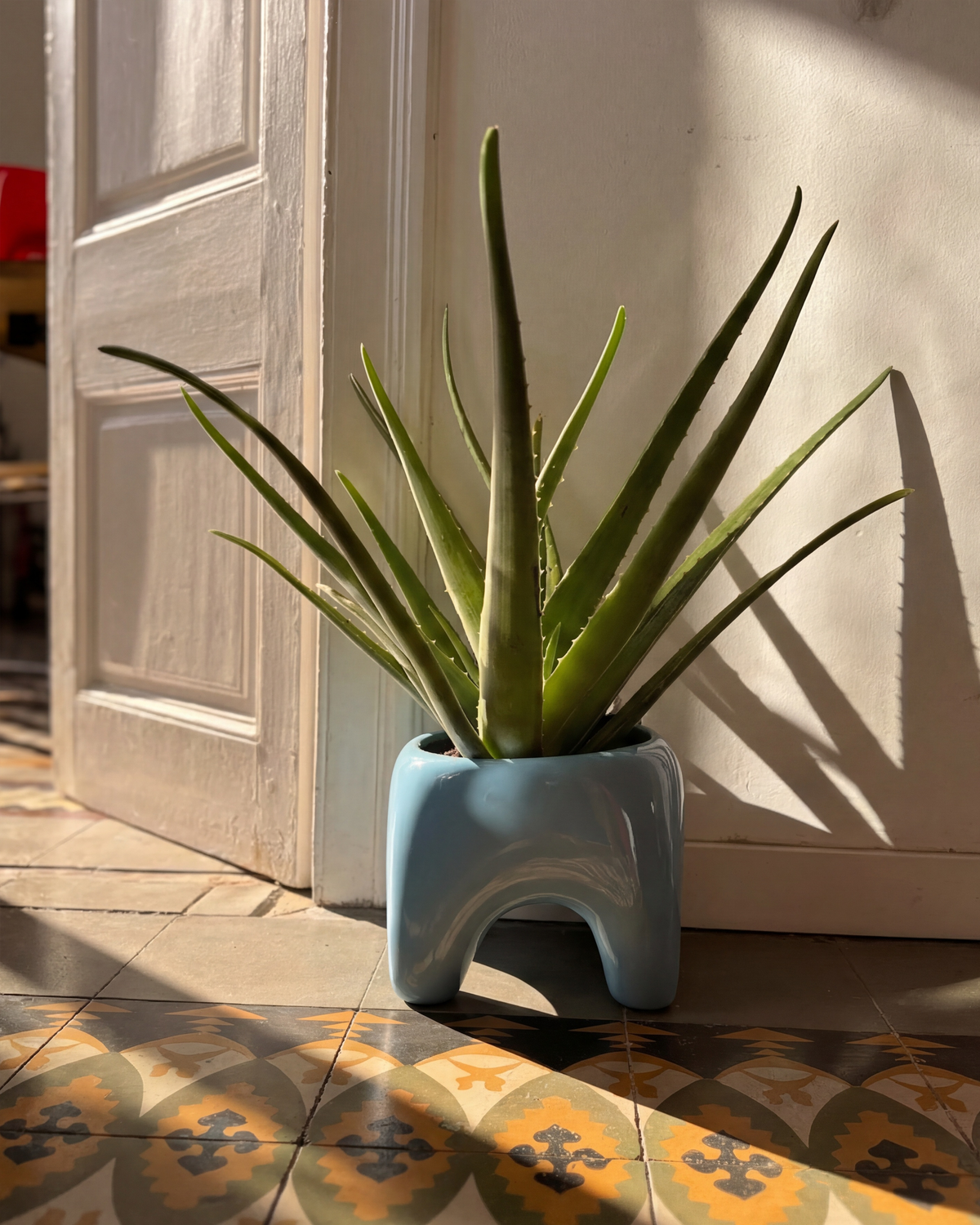BUDDY Planter in Sky Blue