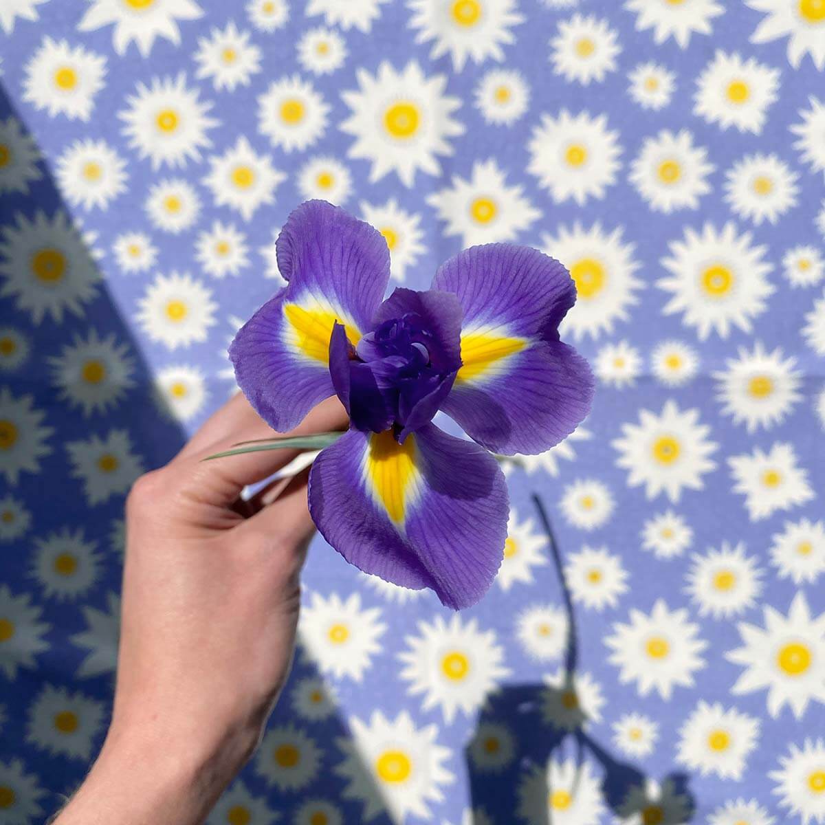 Lily Flower Table Cloth
