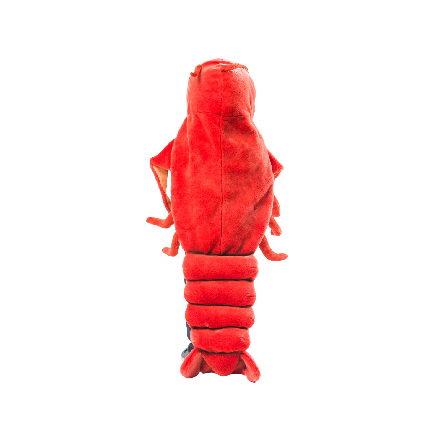 Lobster Costume