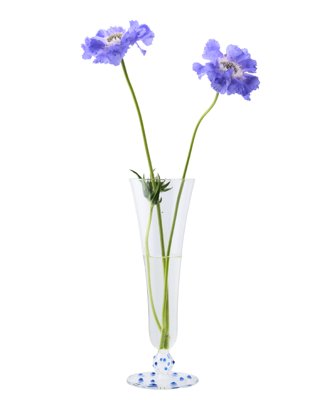 Long Stem Glass Vase Issy Granger with blue dots tall glass vase 