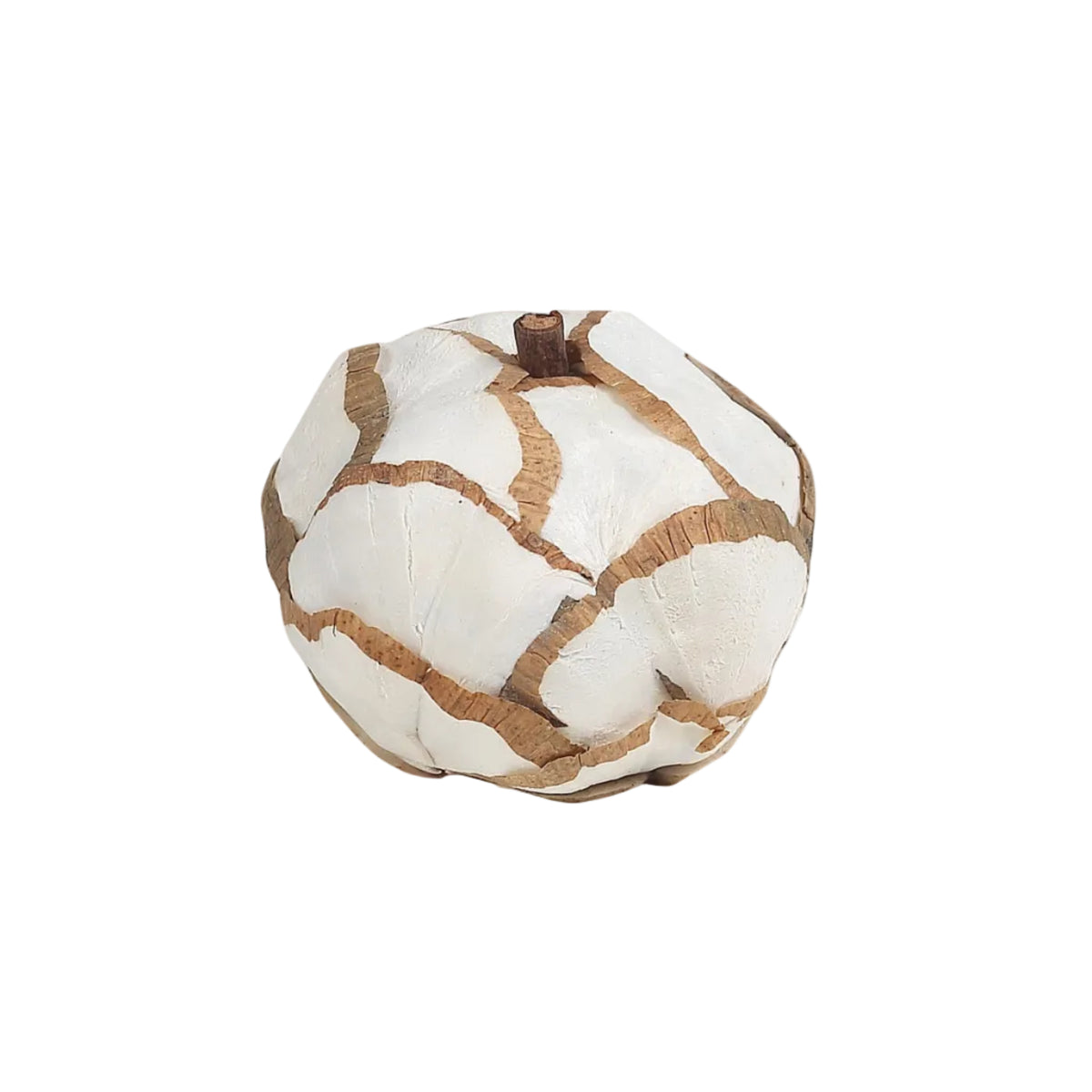 Handmade Pumpkin Vase Filler | Sola Wood | Set of 6
