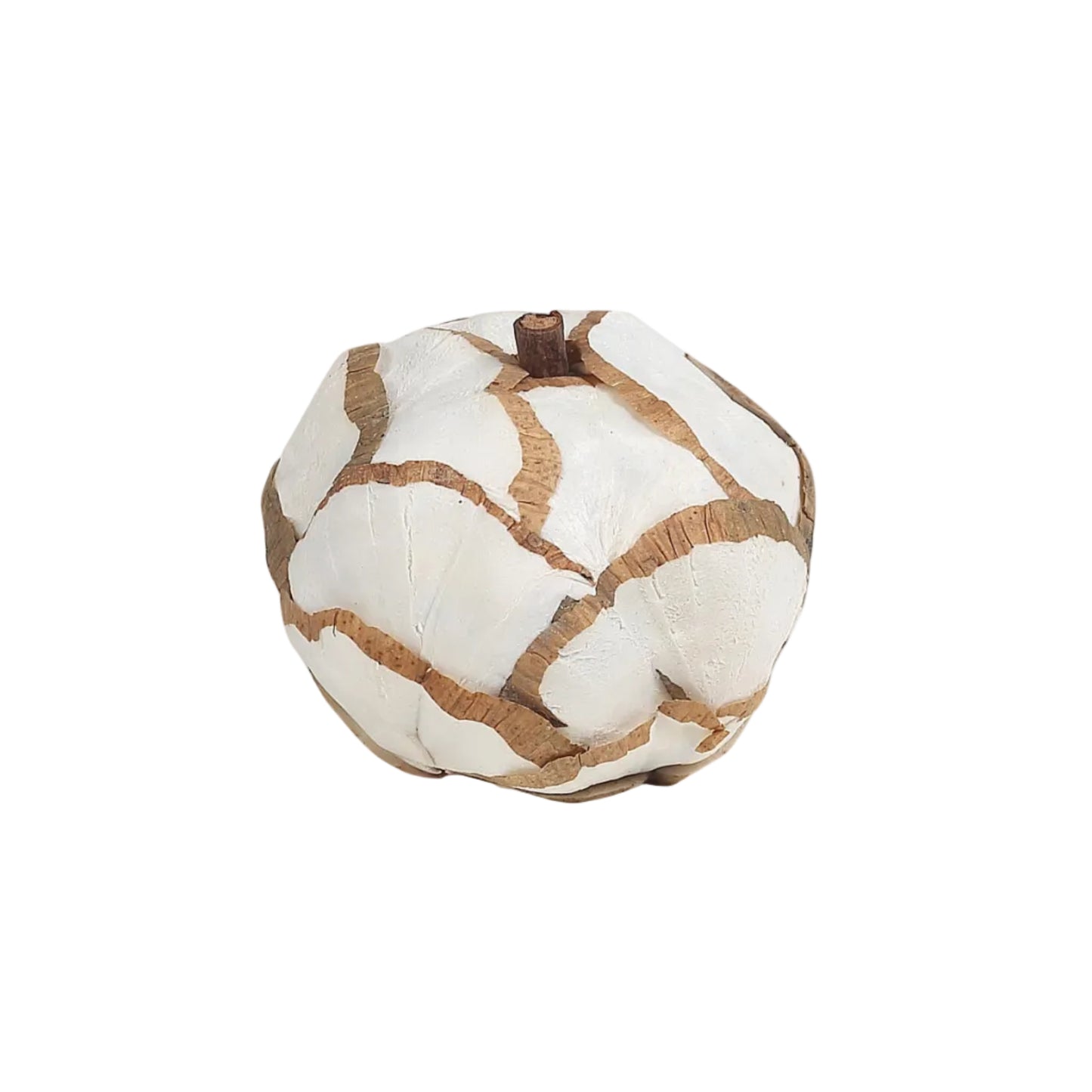 Handmade Pumpkin Vase Filler | Sola Wood | Set of 6