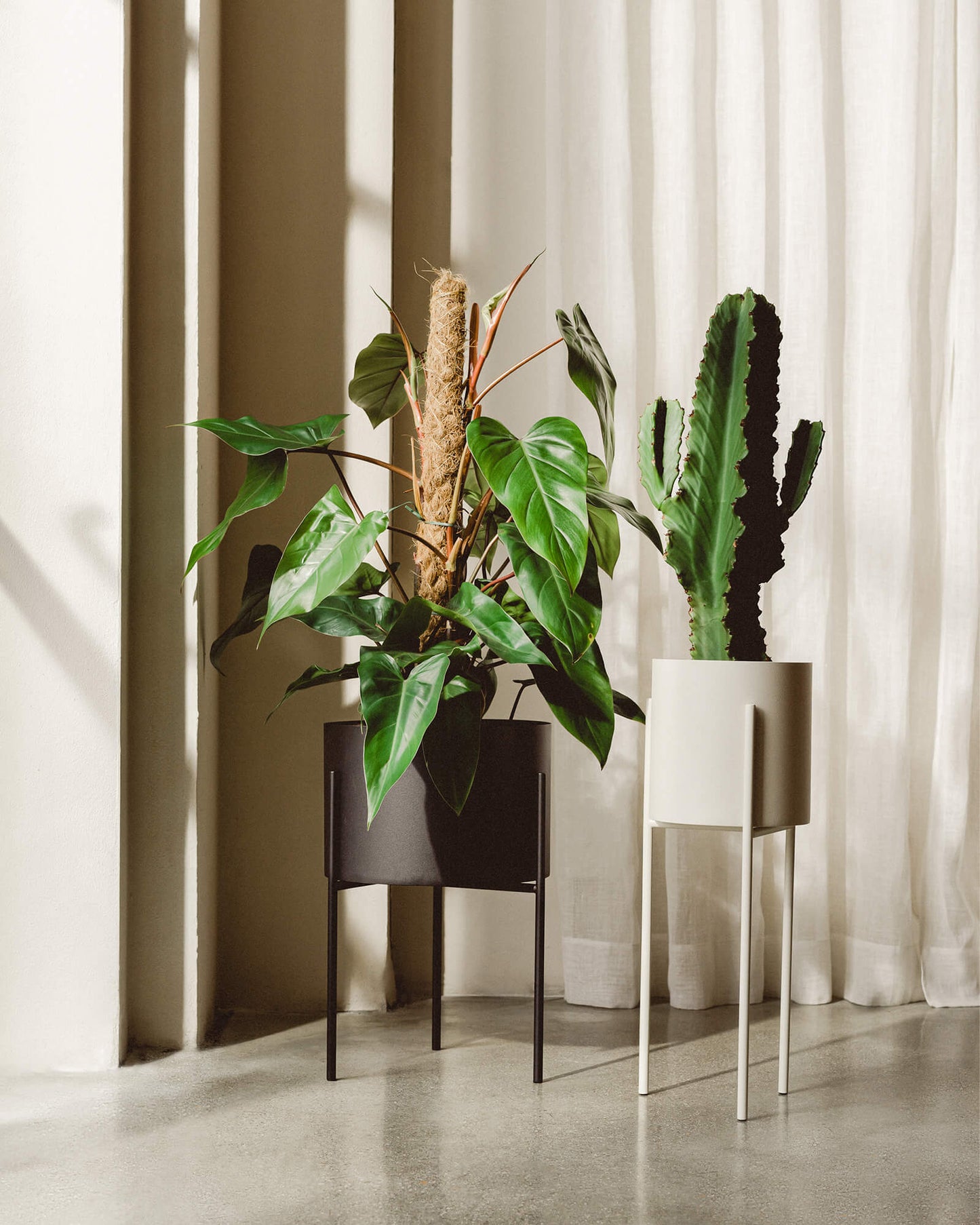 Maki Plant Pot - Tall-