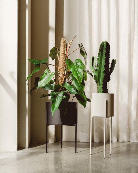 Maki Plant Pot - Tall-