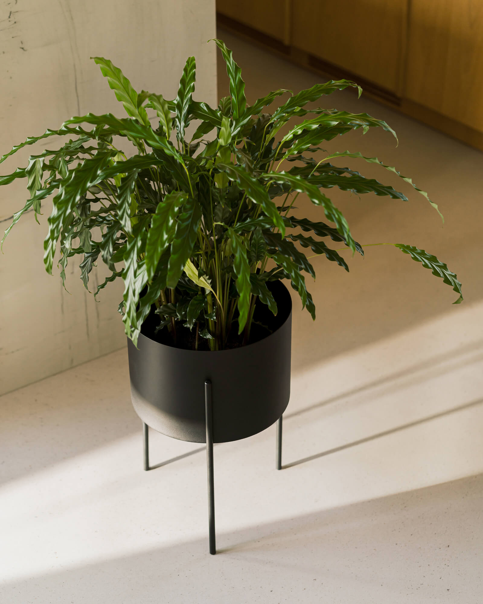 Maki Plant Pot - Tall-