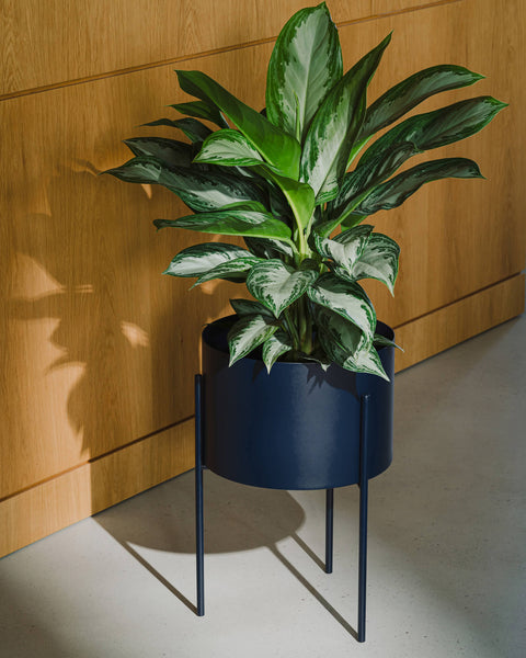 Maki Plant Pot - Wide-