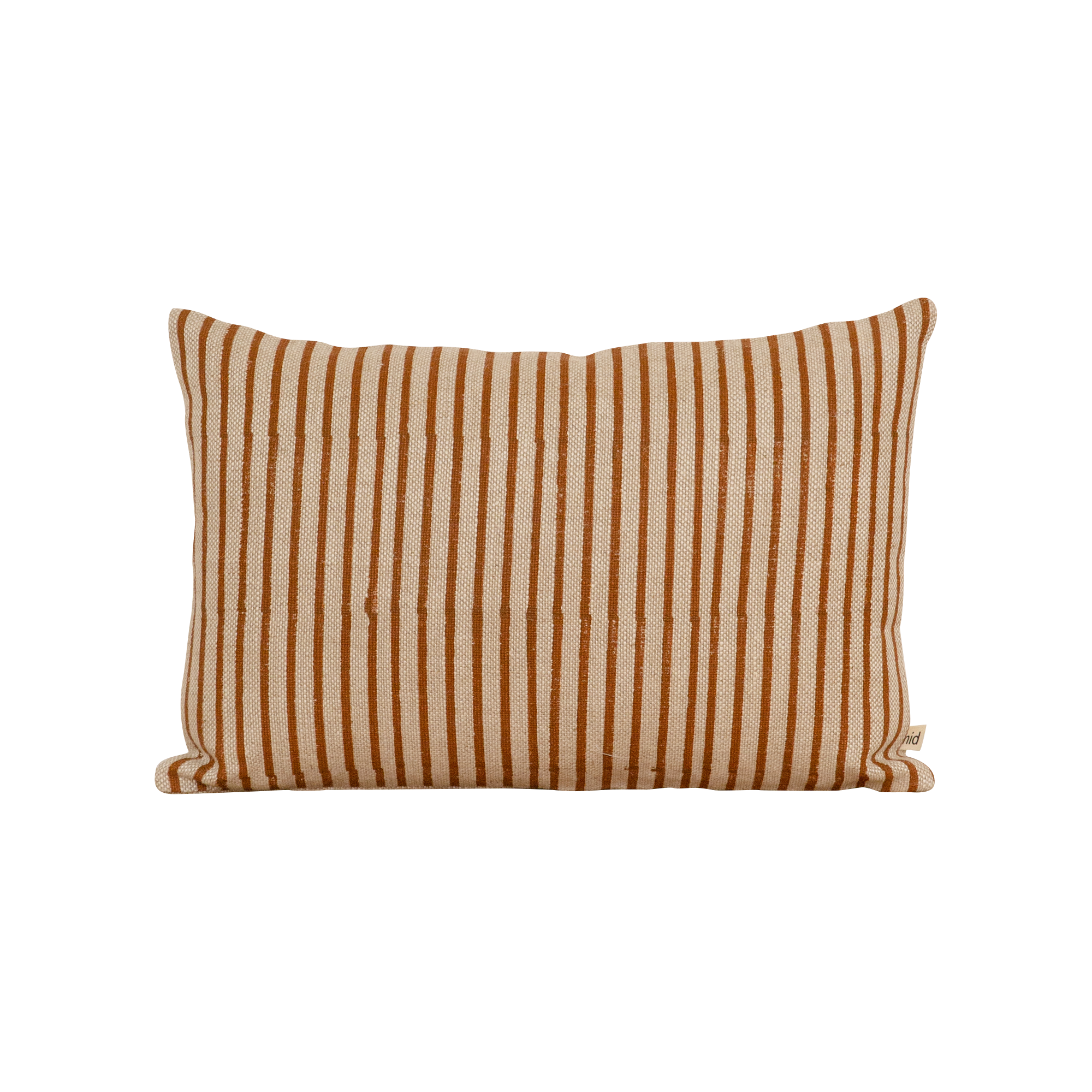 RAYURES Cushion