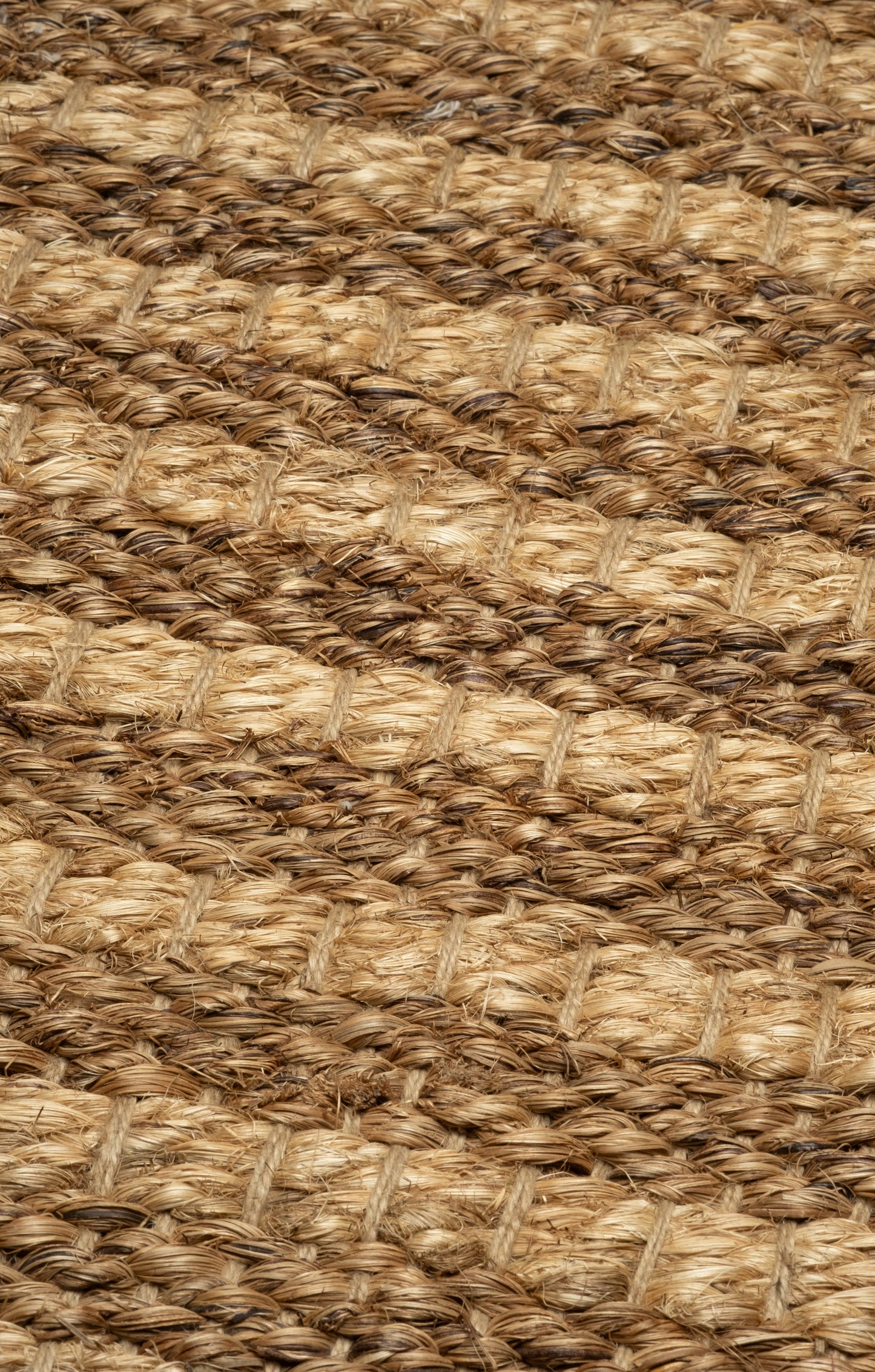 Nest Rug