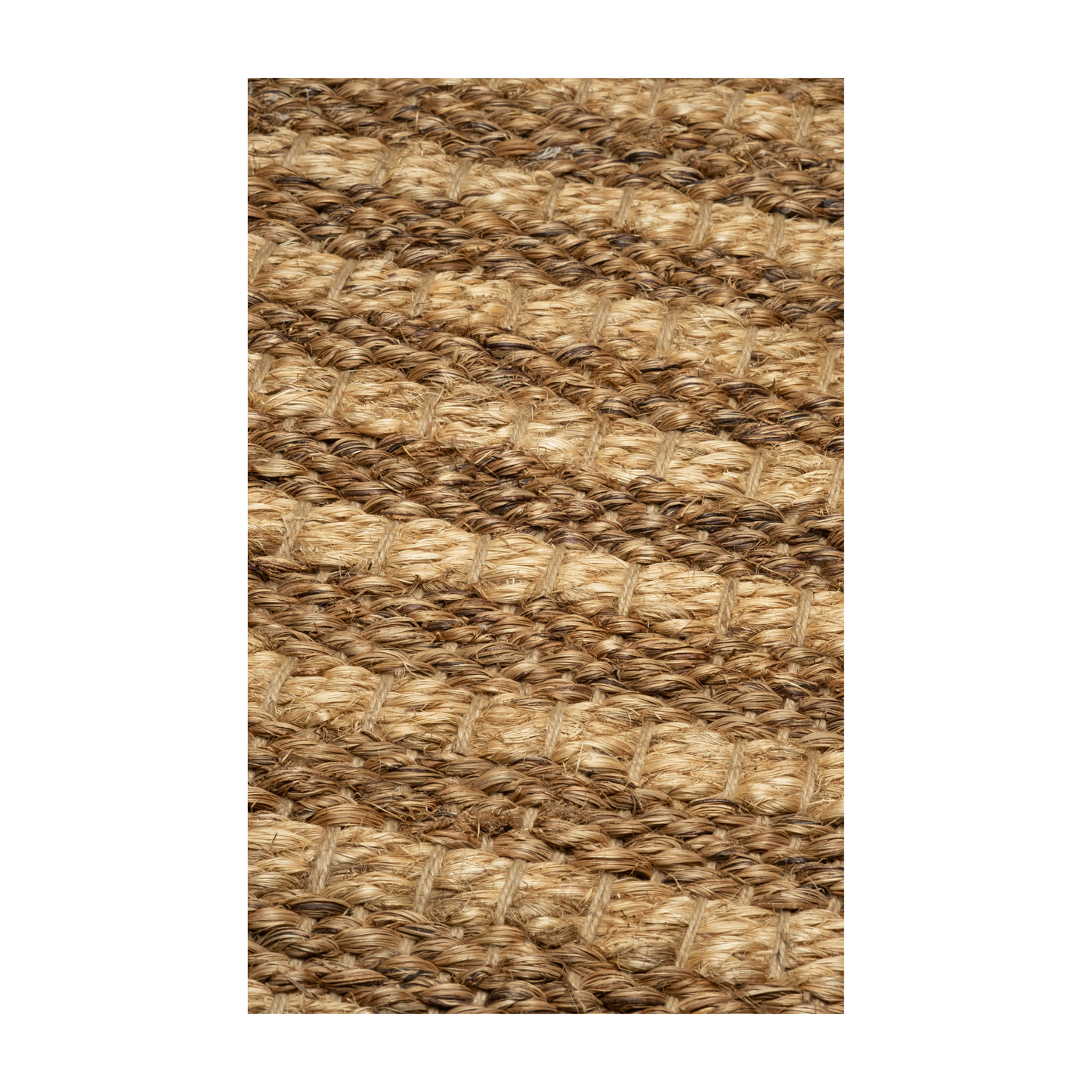 Nest Rug