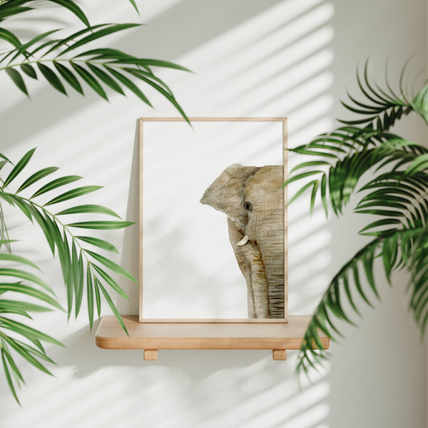 Elephant Limited Edition Fine Art Print