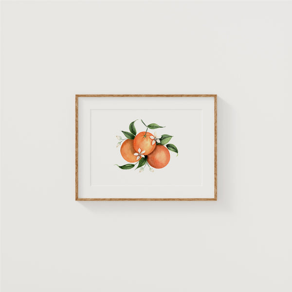 Orange Blossom Fine Art Print