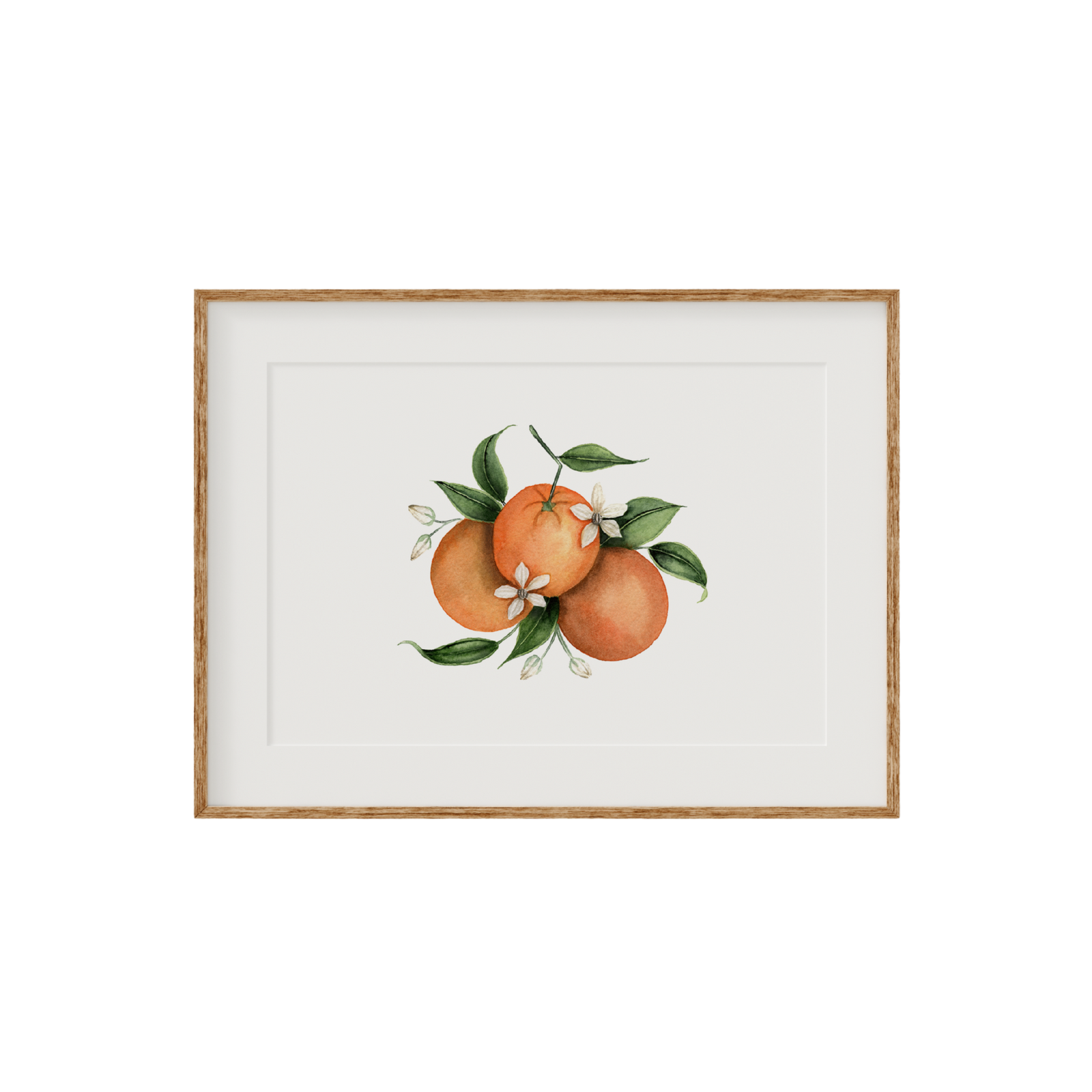 Orange Blossom Fine Art Print