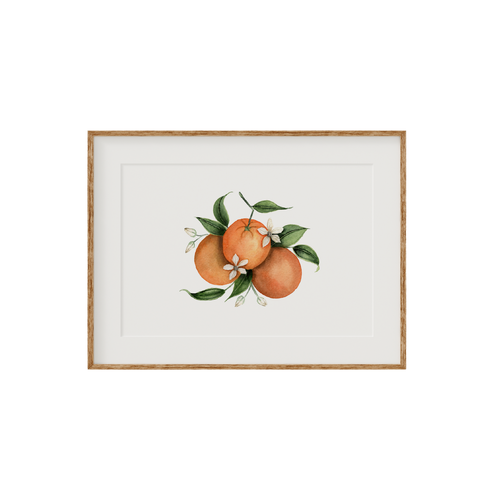 Orange Blossom Fine Art Print