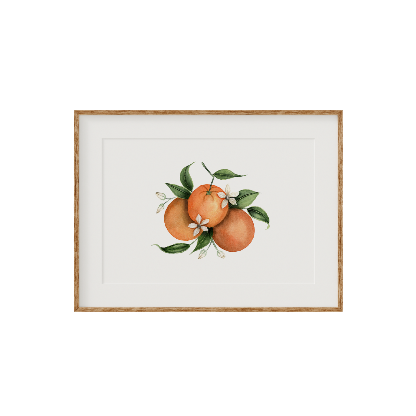 Orange Blossom Fine Art Print
