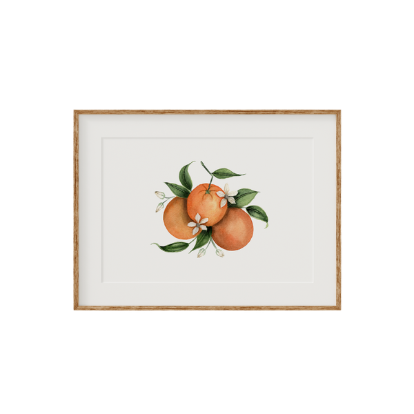 Orange Blossom Fine Art Print