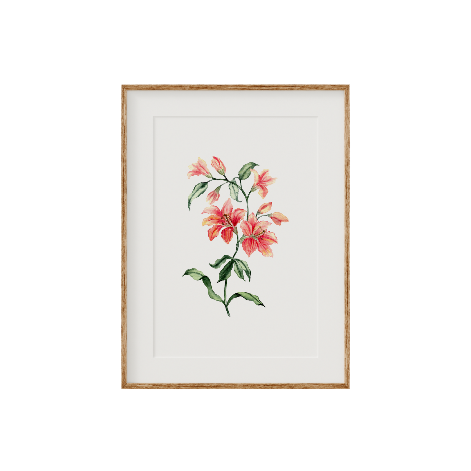 Orange Lillies Fine Art Print