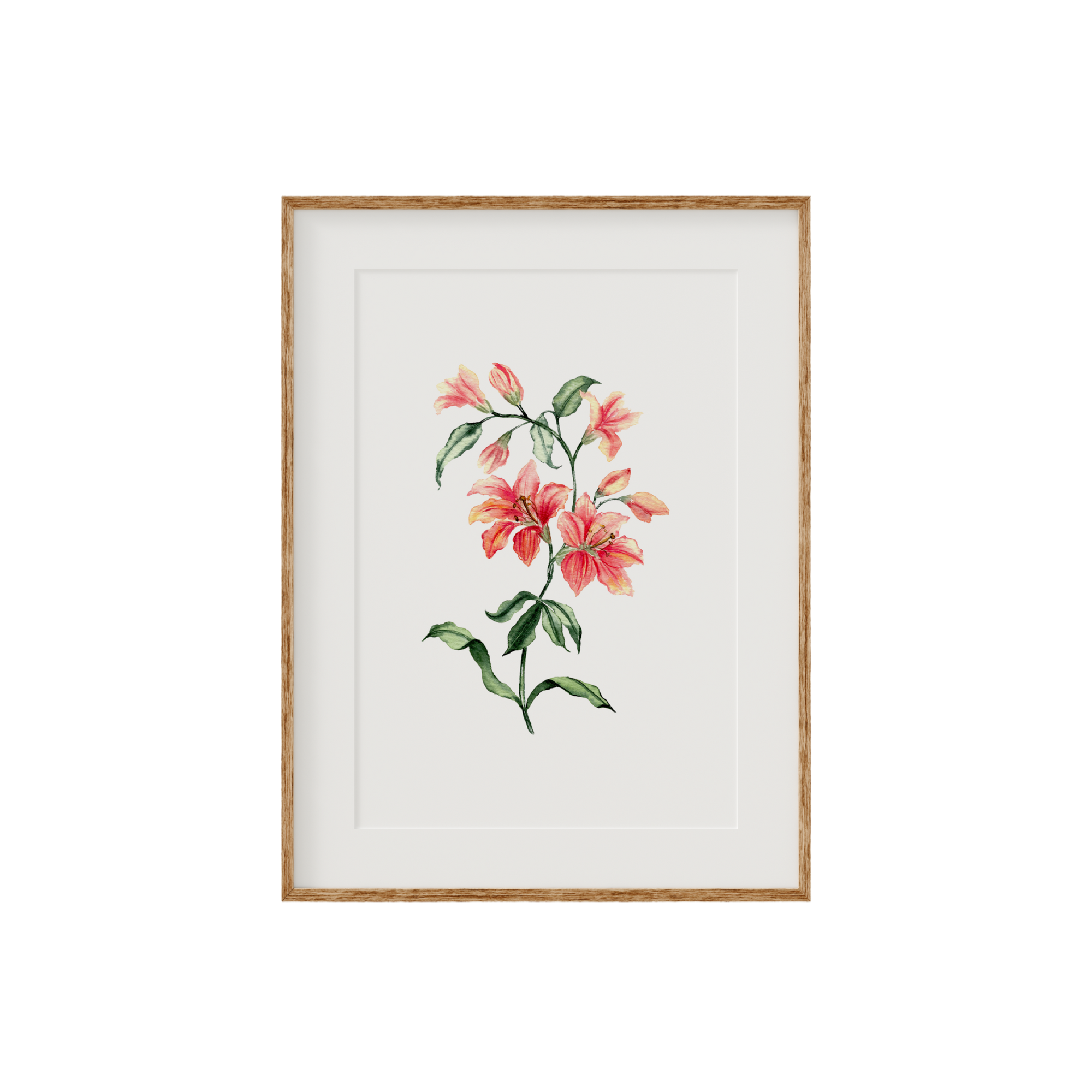 Orange Lillies Fine Art Print