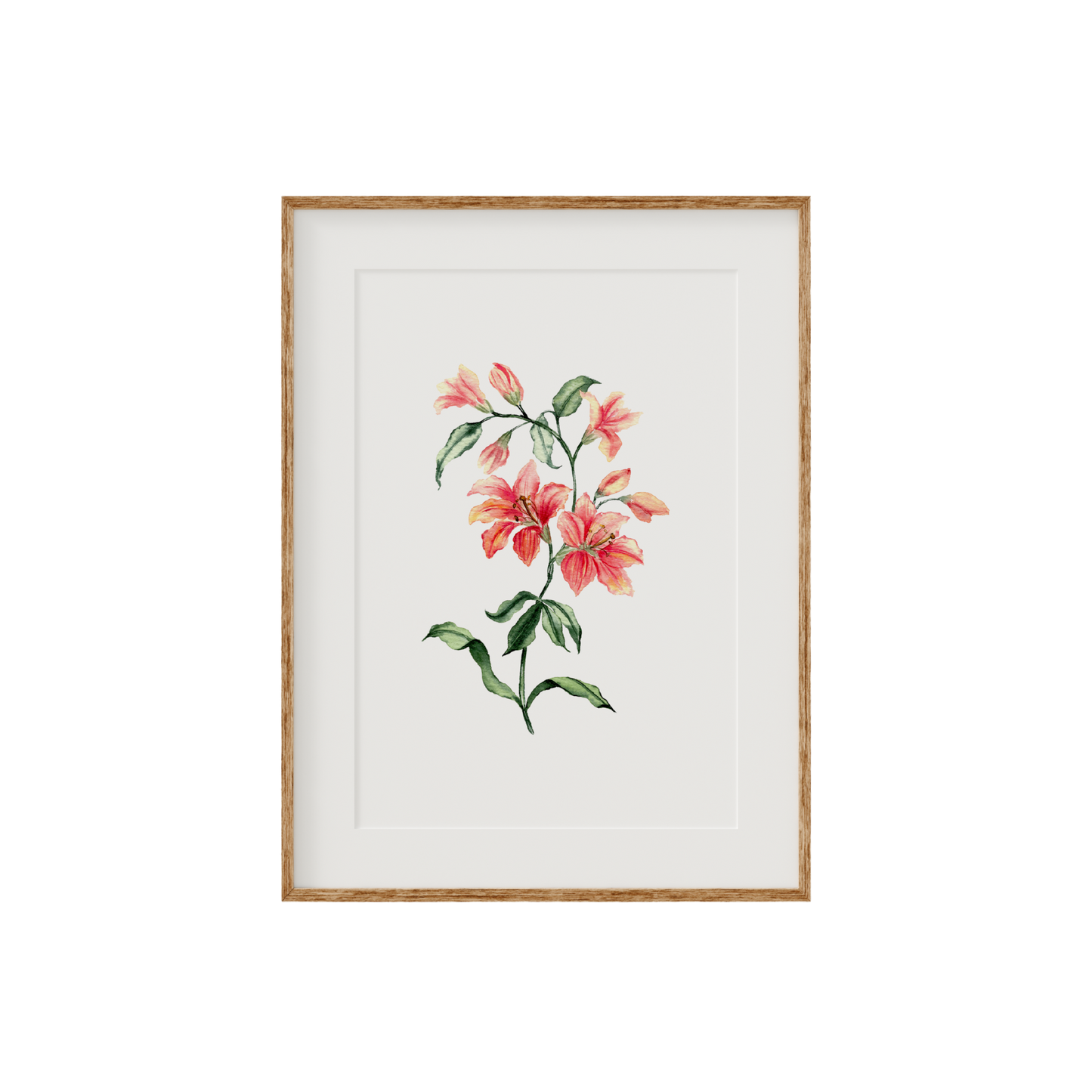 Orange Lillies Fine Art Print