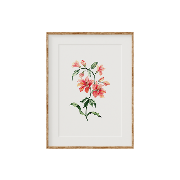 Orange Lillies Fine Art Print