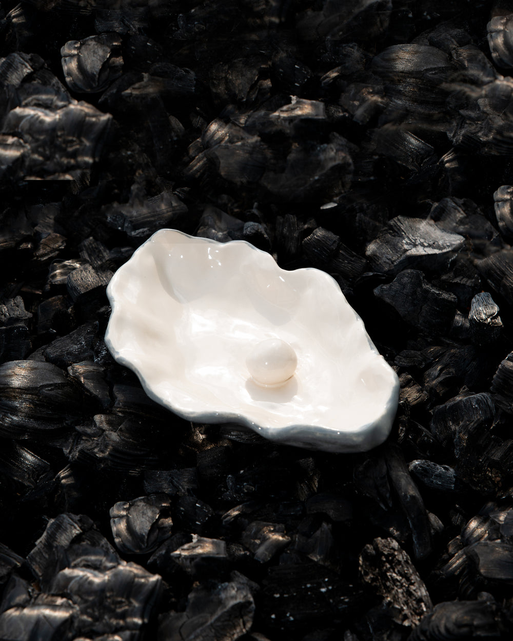 Oyster Tray