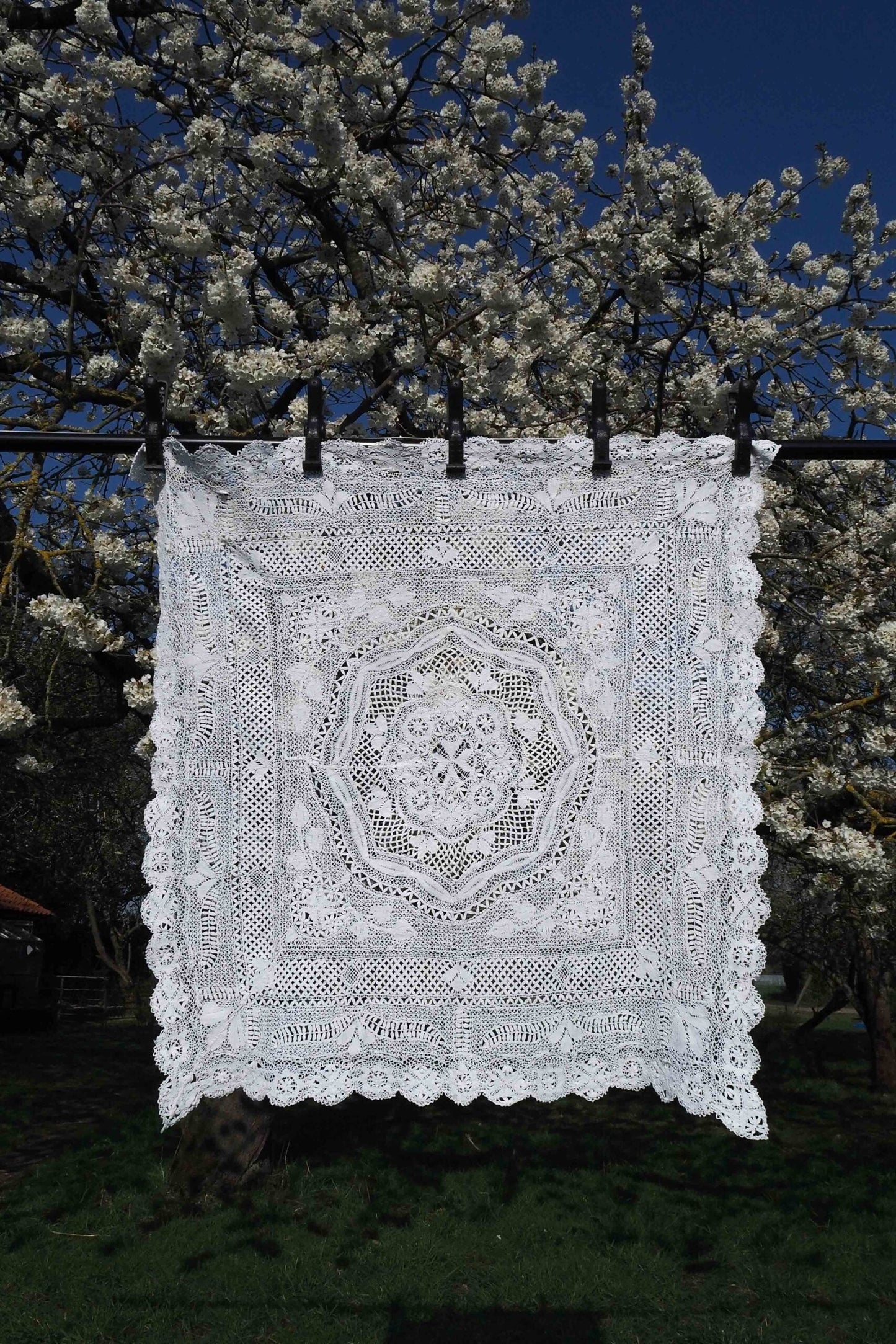 Antique Lace Tablecloth