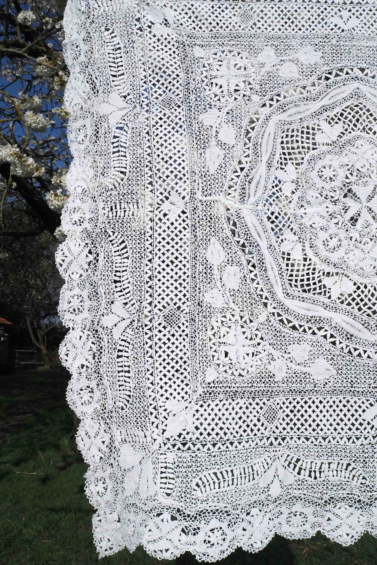 Antique Lace Tablecloth