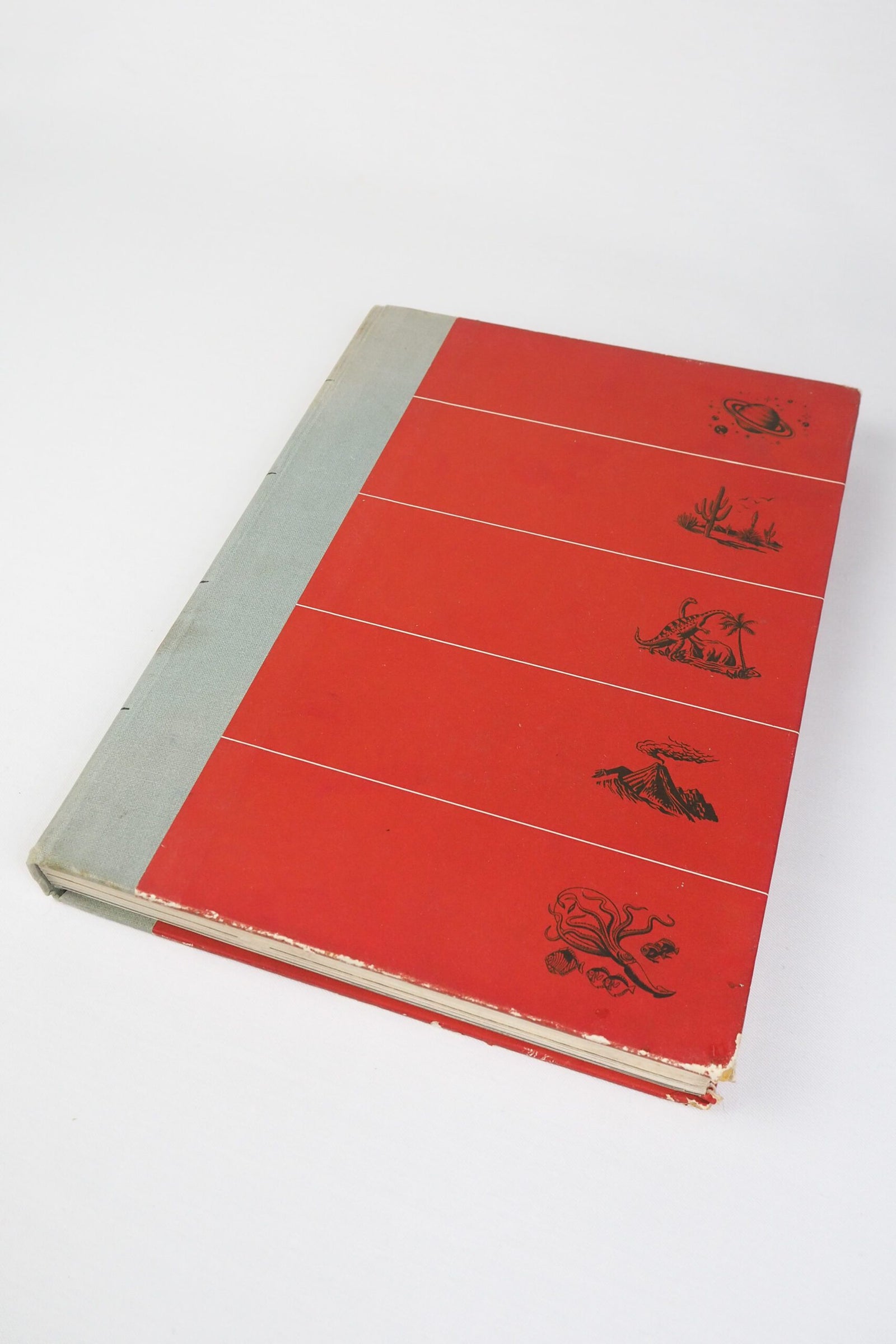 The World We Live In Vintage Book