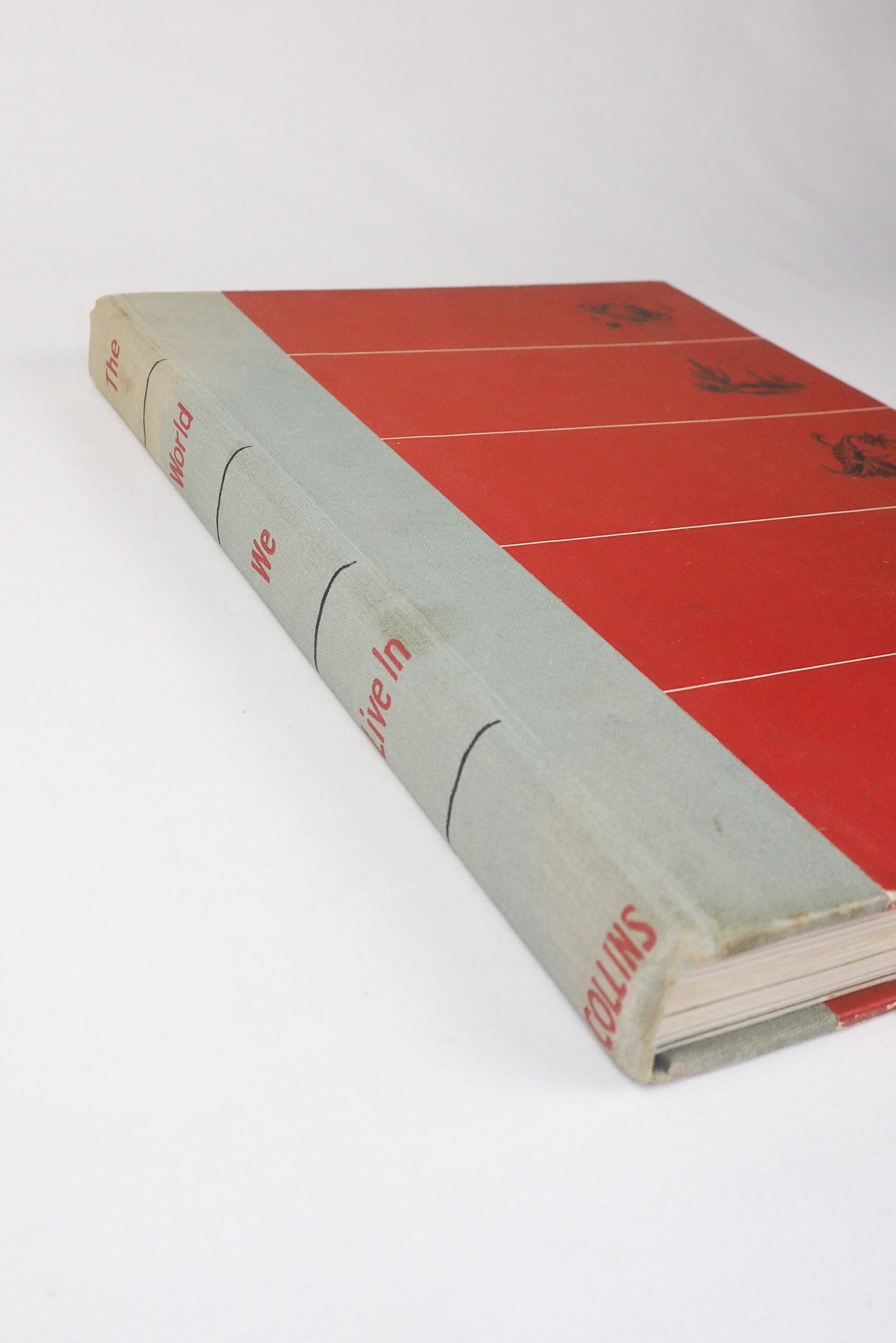 The World We Live In Vintage Book