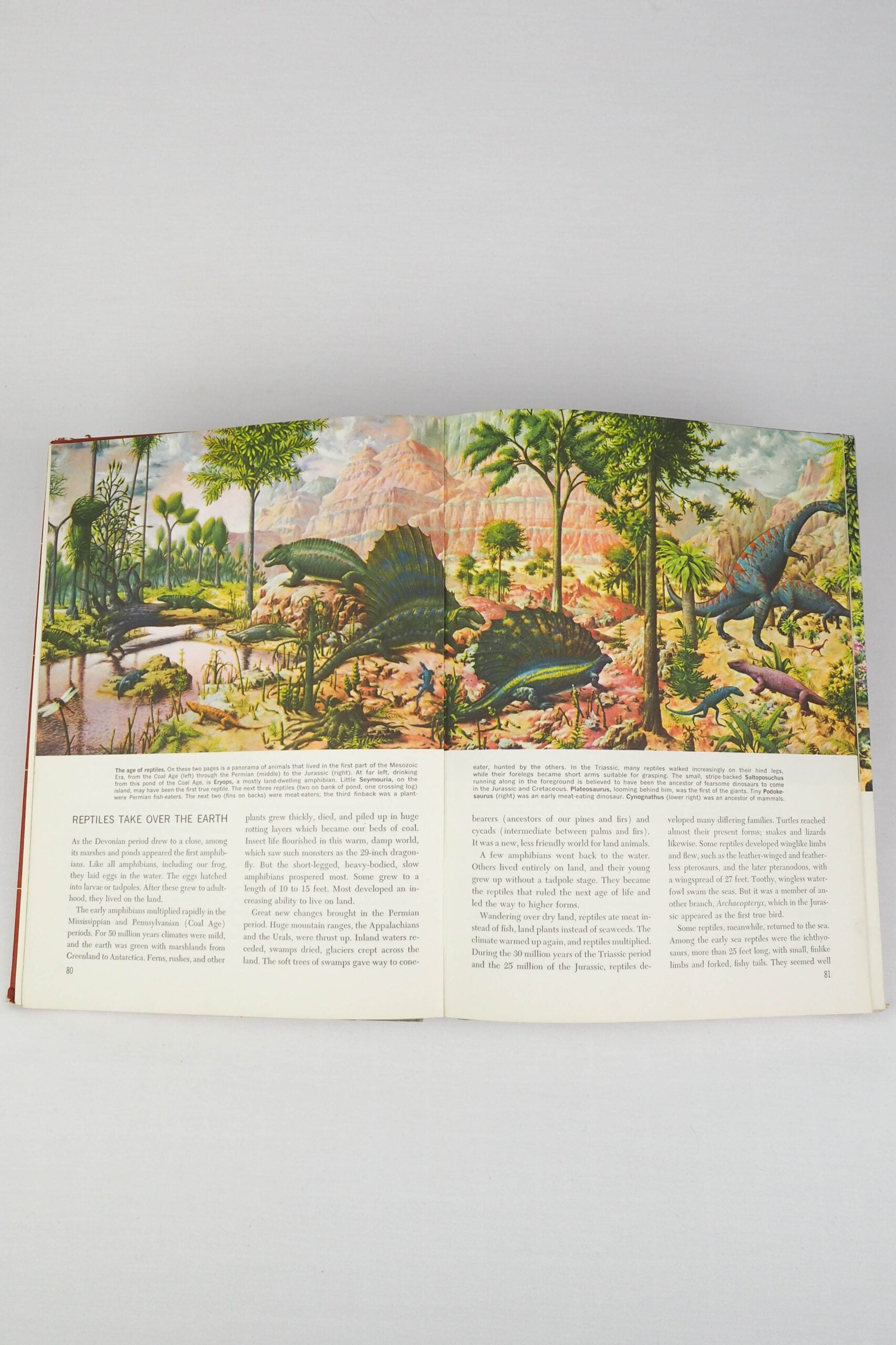 The World We Live In Vintage Book