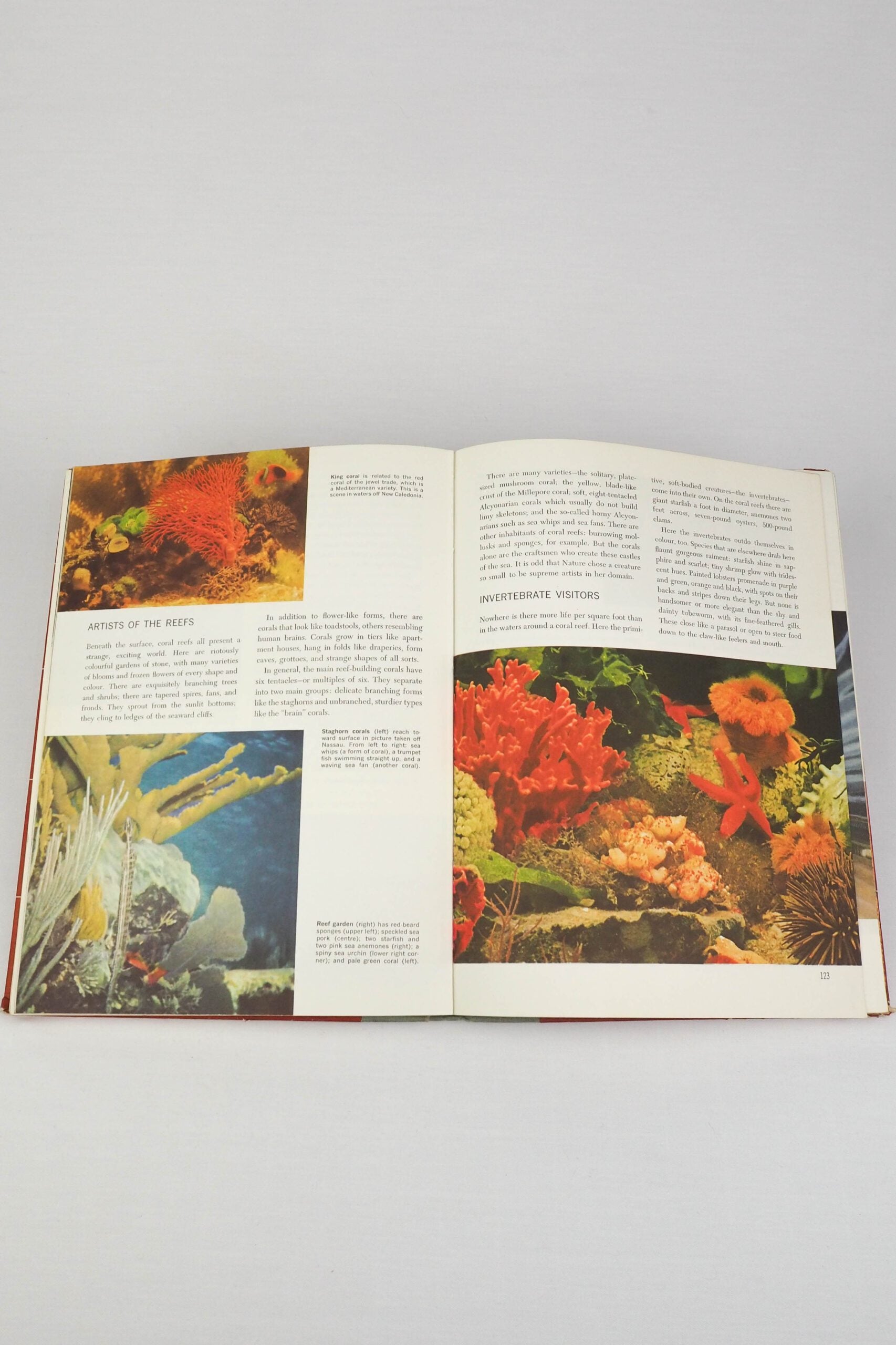 The World We Live In Vintage Book