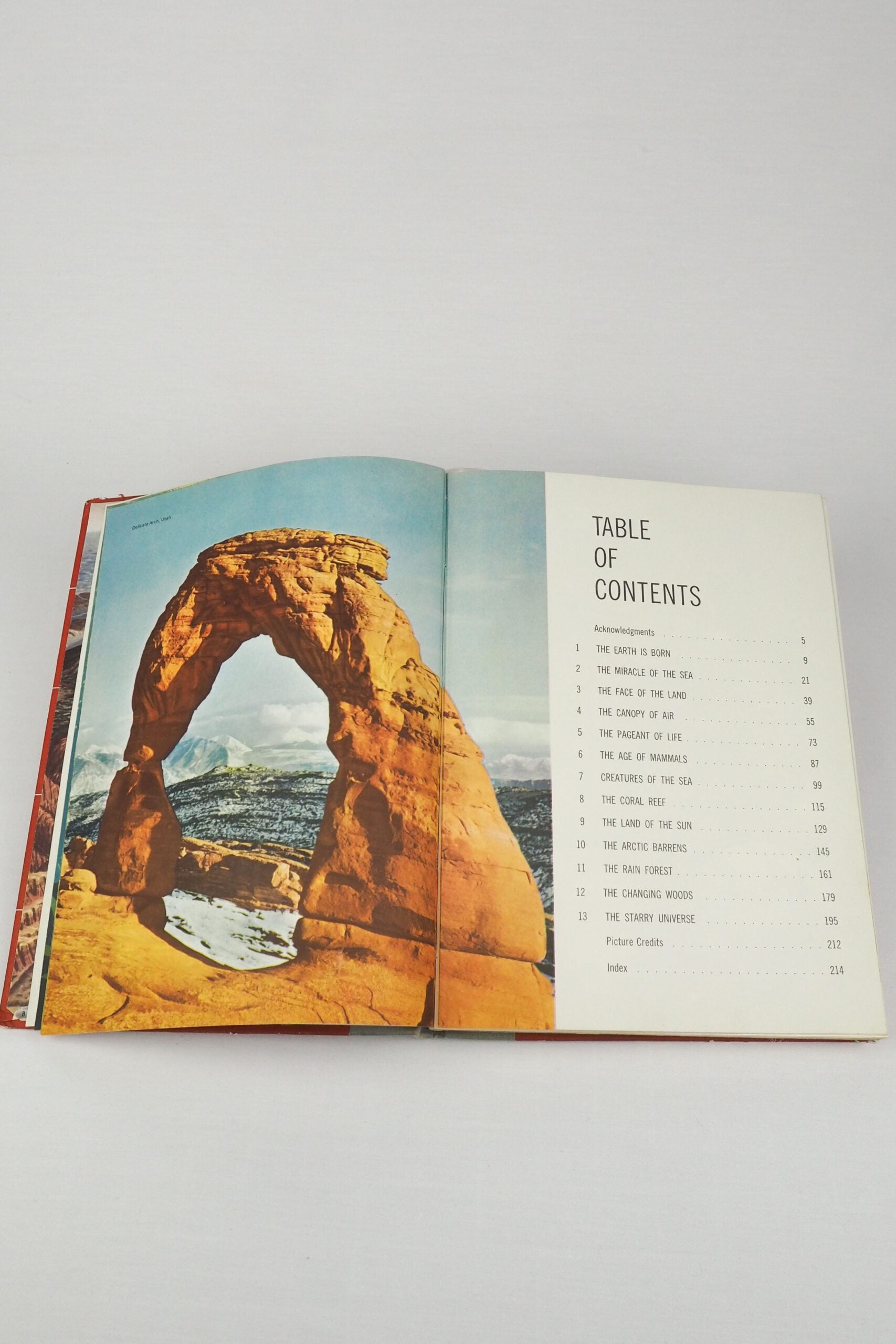 The World We Live In Vintage Book