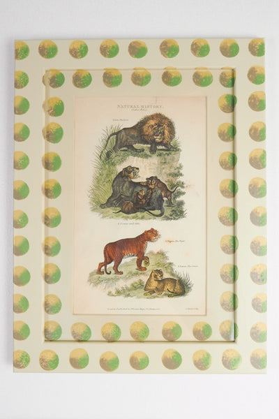 Trio of Antique Natural History Prints