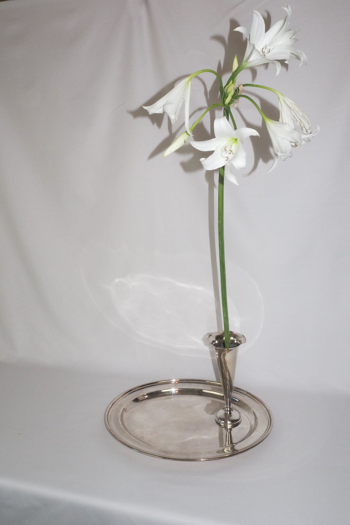 Large Silver Plate Bud Vase sourced for Wildmore