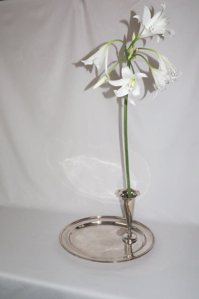 Large Silver Plate Bud Vase sourced for Wildmore
