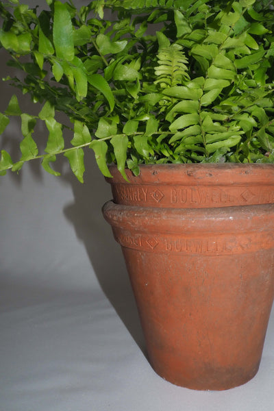 This lovely Pair of Vintage Sankey Pots are beautifully made from terracotta. This pair are circa 1960s, towards the end of manufacturing at Sankey.