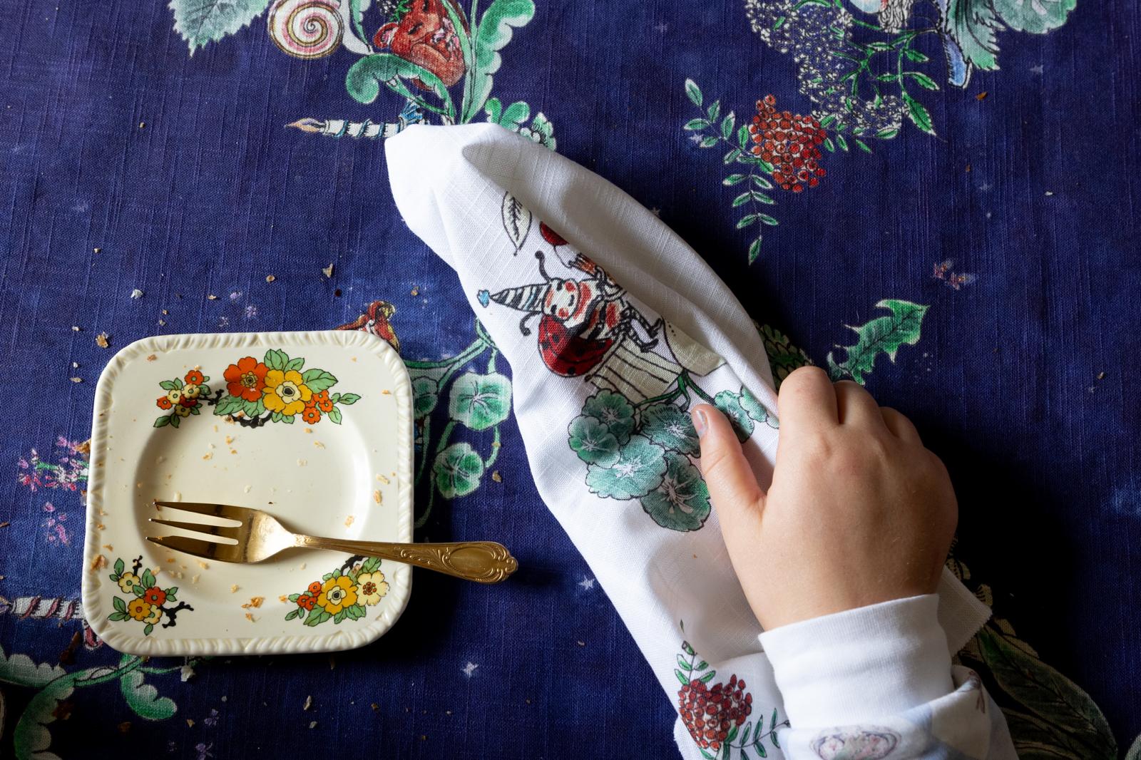 Organic Cotton Napkins-