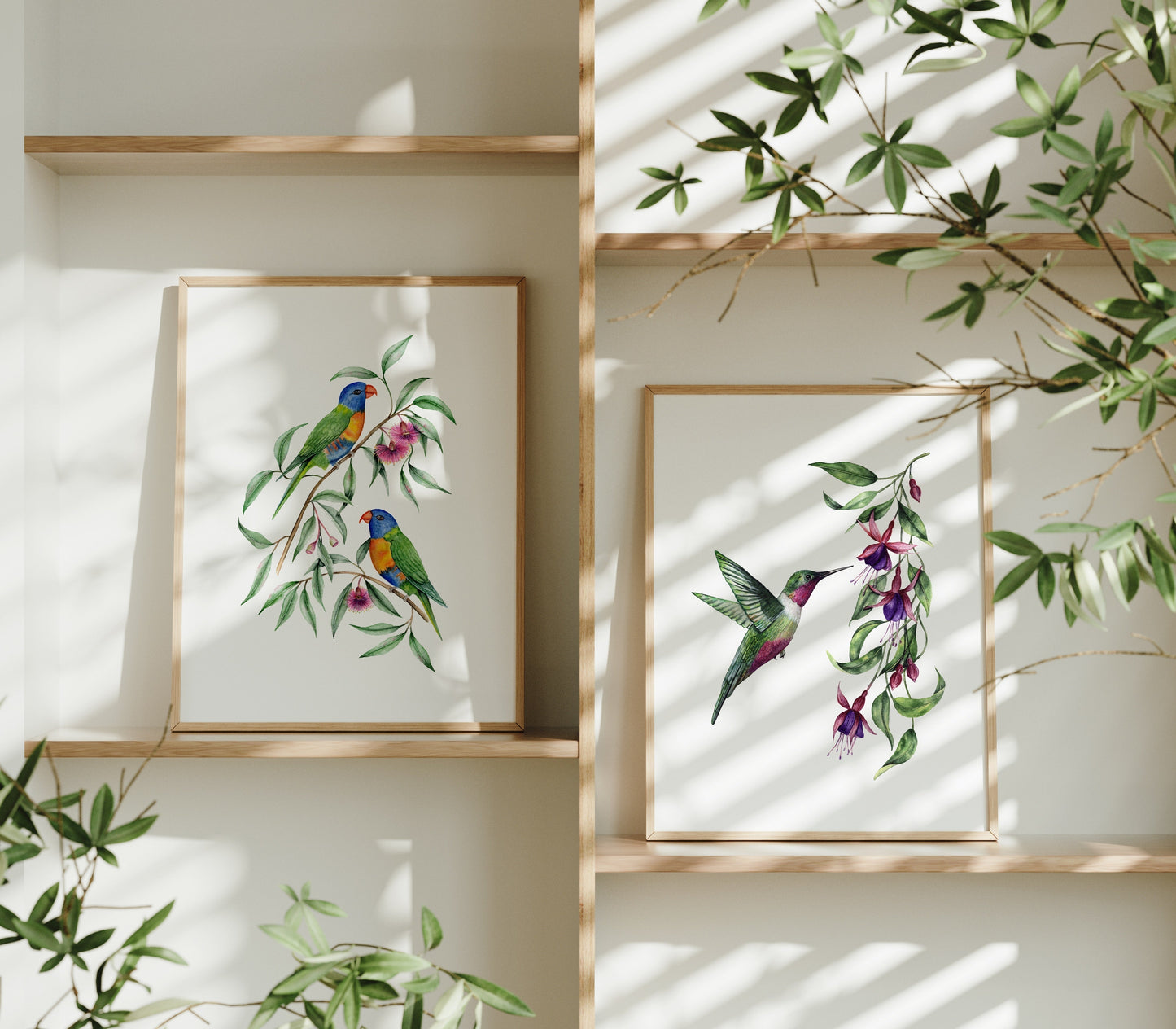 Rainbow Lorikeet Birds Fine Art Print