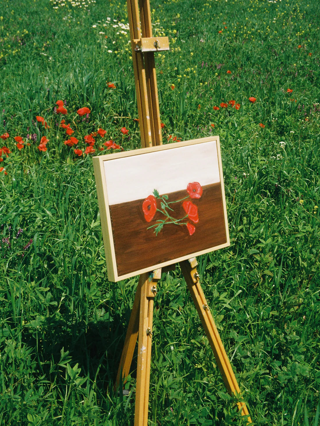 Papoilas Colhidas Painting