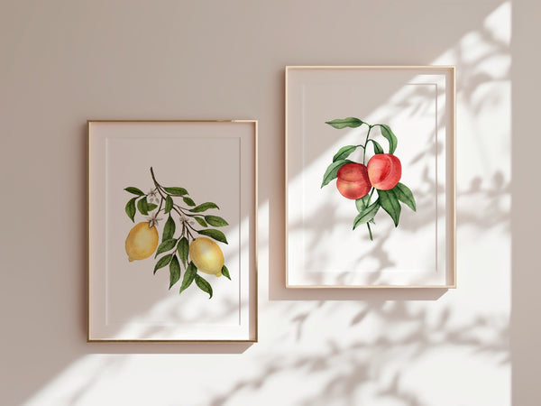 Lemon Blossom Fine Art Print