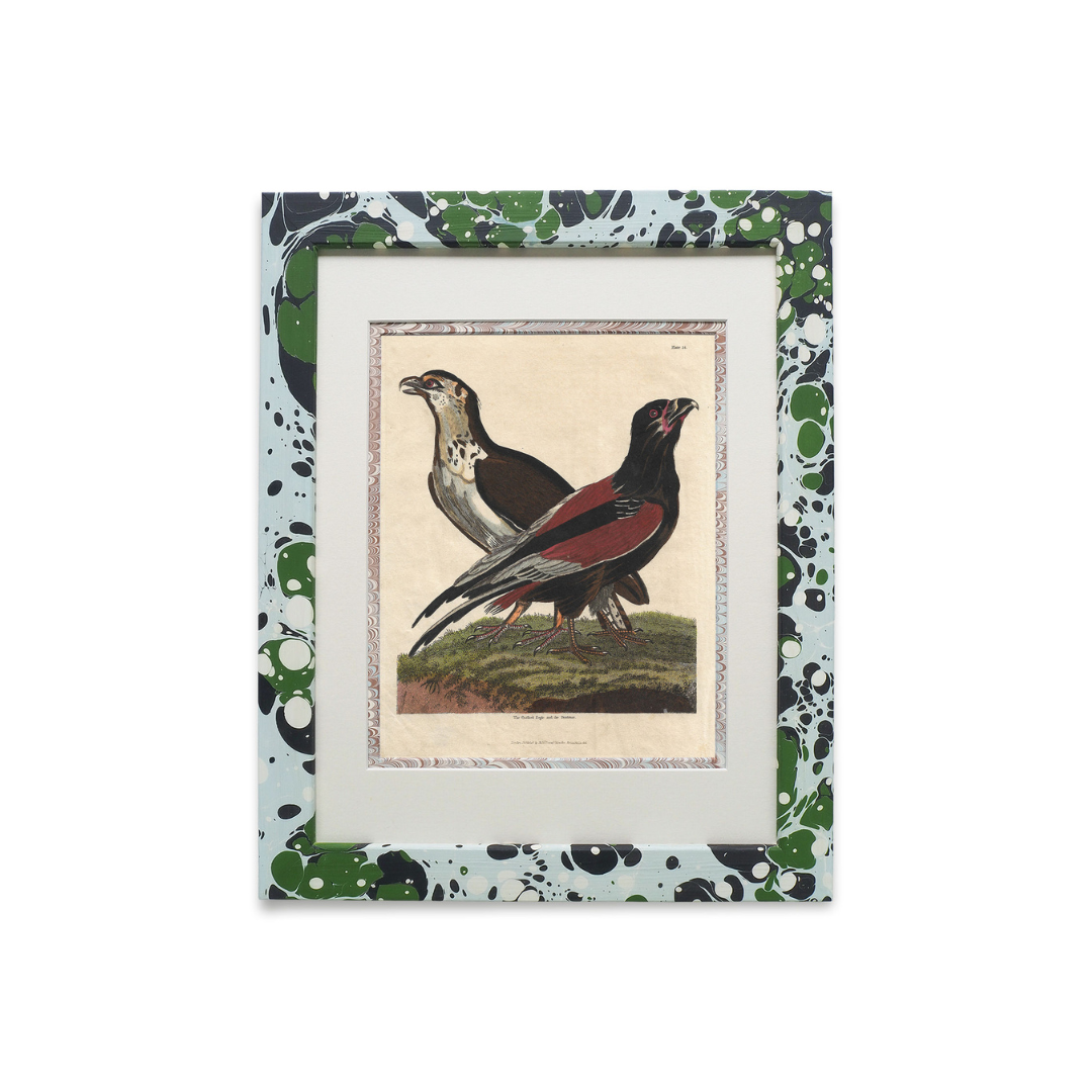 Buffon No.24 Glacier Framed Print