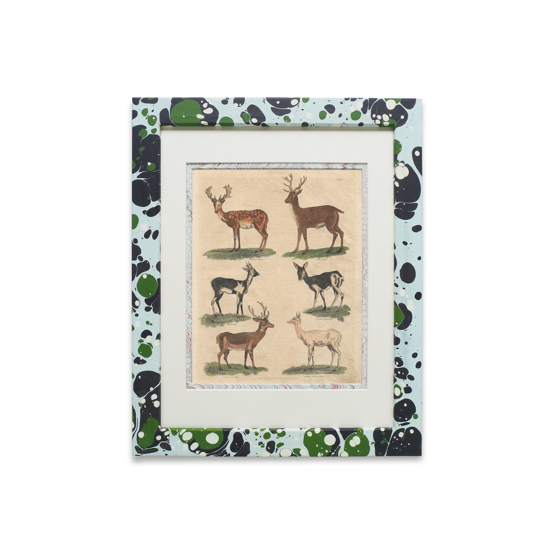 Buffon No.7 Glacier Framed Print