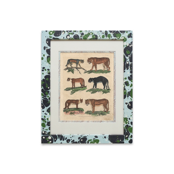 Buffon No.6 Glacier Framed Print