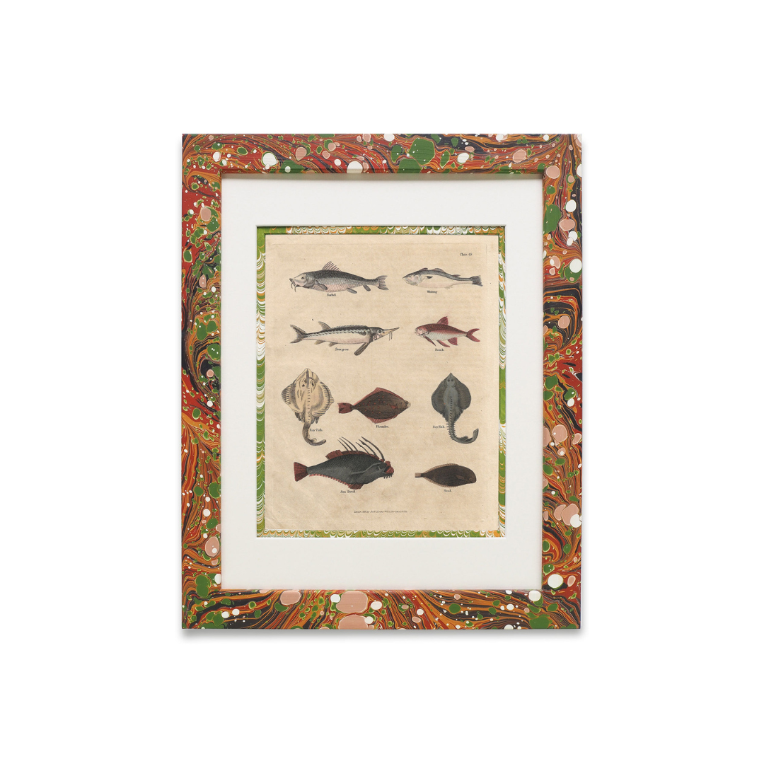 Buffon No.49 Igneus Framed Print