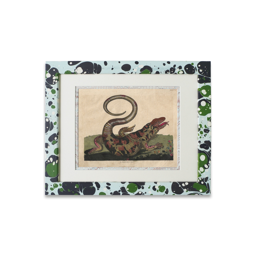 Buffon No.14 Glacier Framed Print